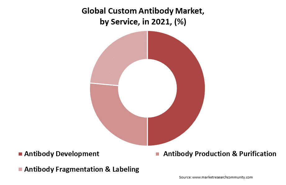 Custom Antibody Market Size
